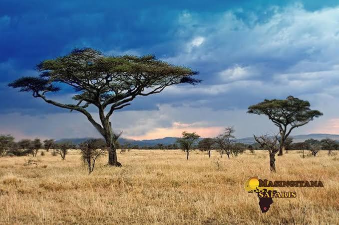 Mzsingitana Tented Camp Hoedspruit Exteriör bild