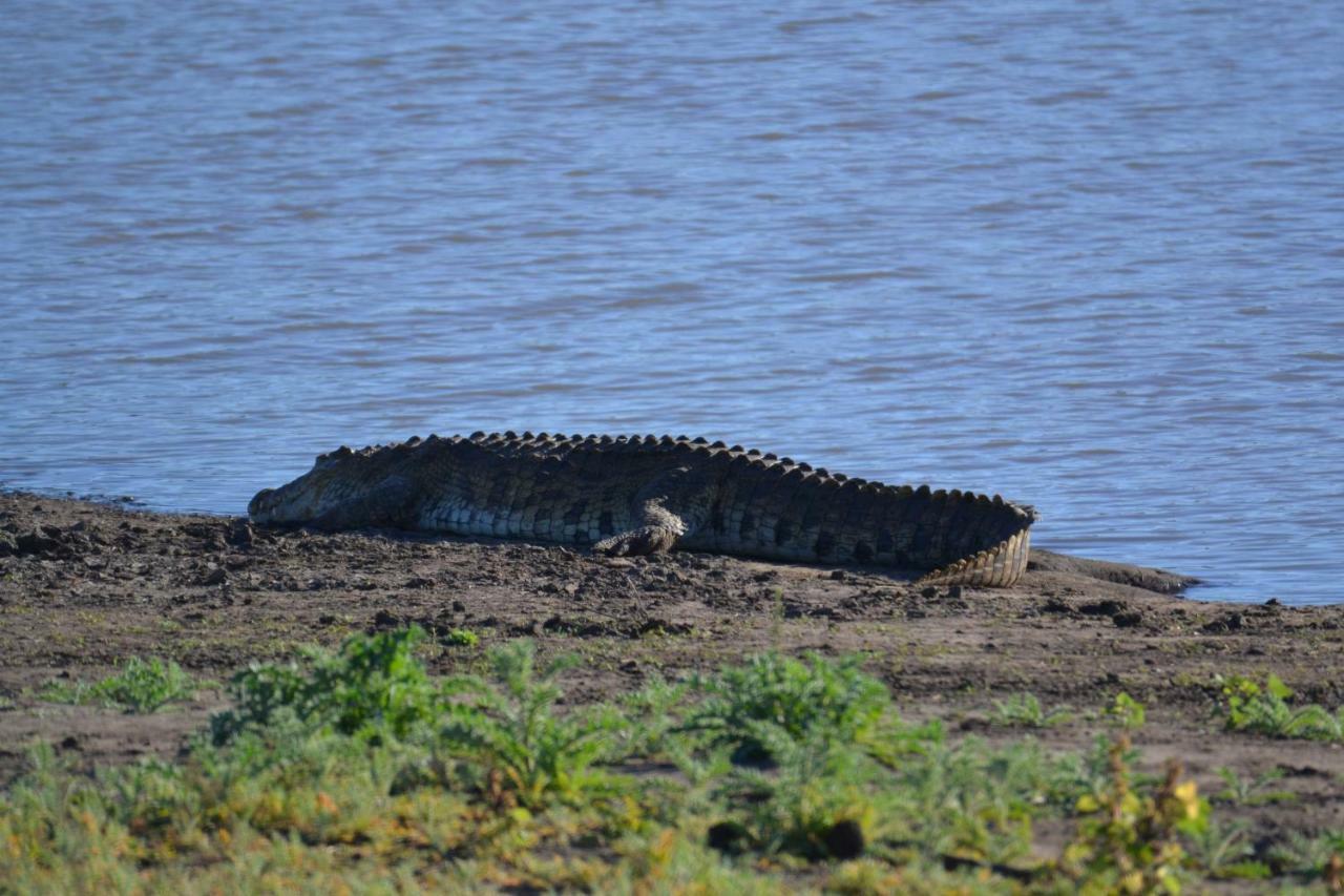 Mzsingitana Tented Camp Hoedspruit Exteriör bild