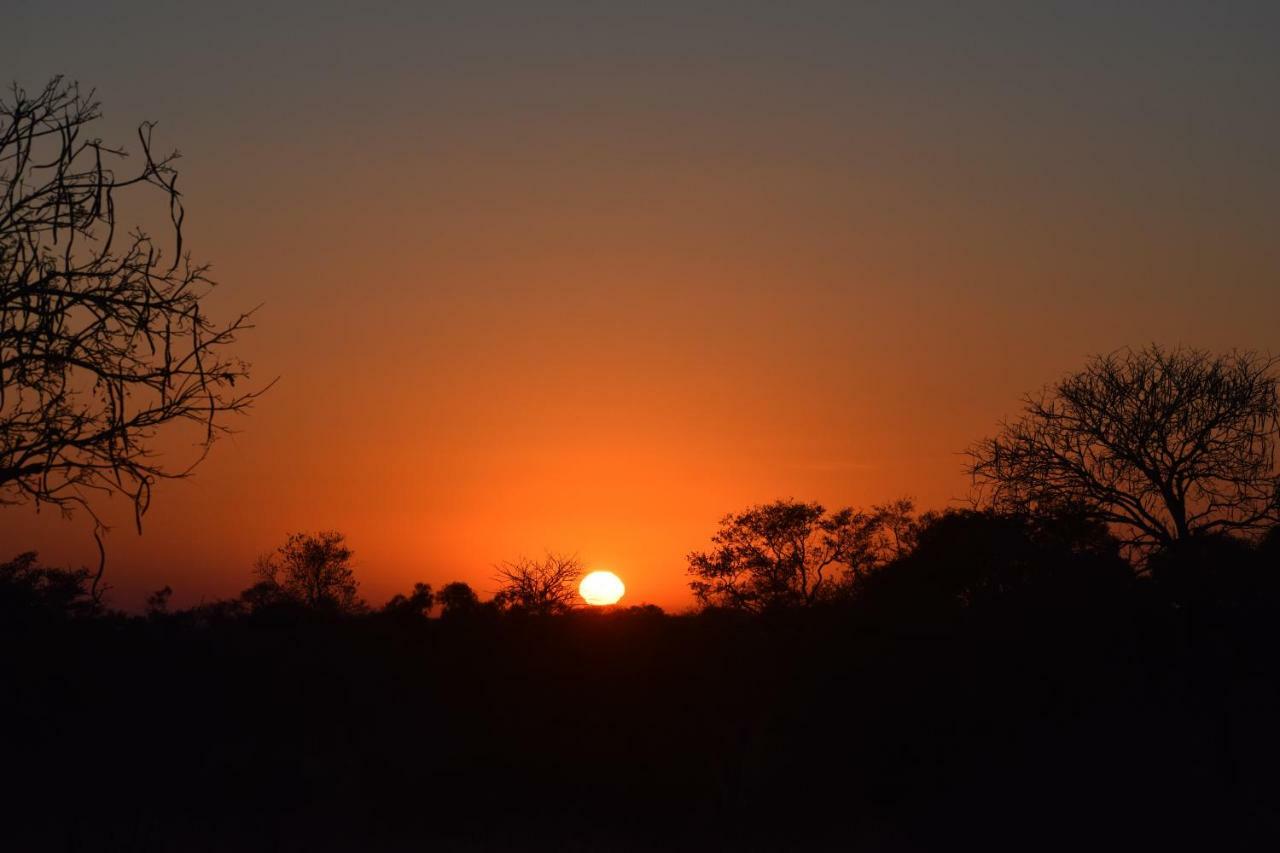 Mzsingitana Tented Camp Hoedspruit Exteriör bild